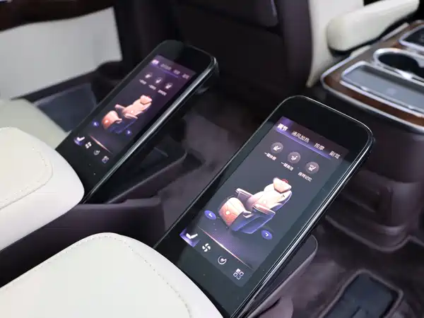 Hongqi HQ9 2023, фото 15