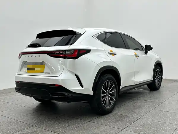 Lexus NX 2023, фото 6