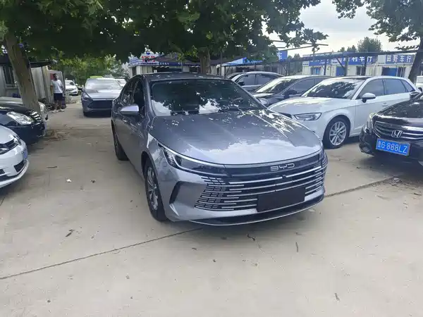 BYD Destroyer 05 2024, фото 3