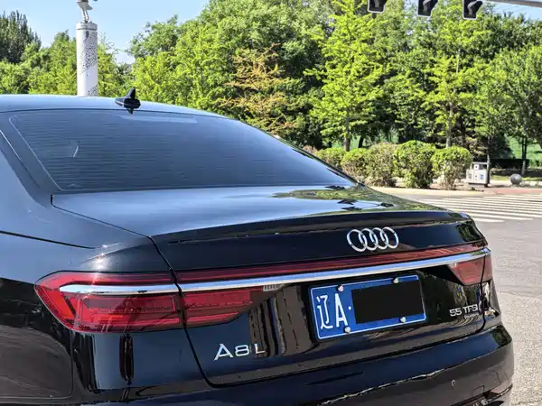 Audi A8 2022, фото 7