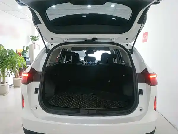Haval H6 2022, фото 14
