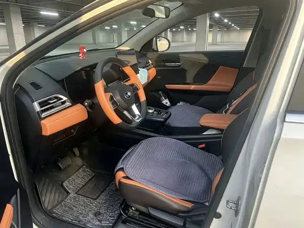 BYD e2 2021, фото 6