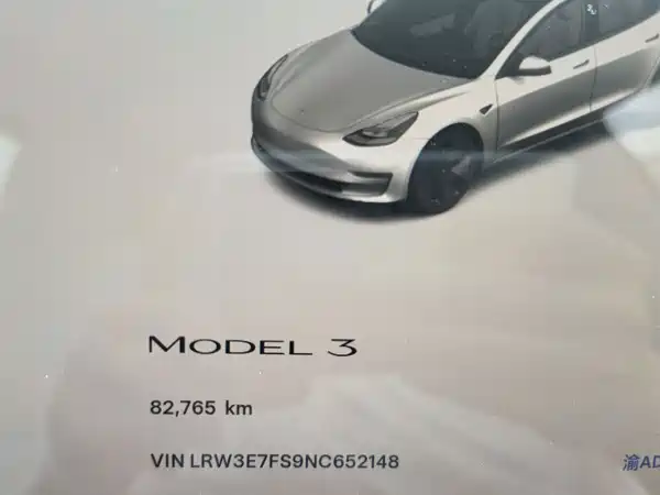 Tesla Model 3 2022, фото 15