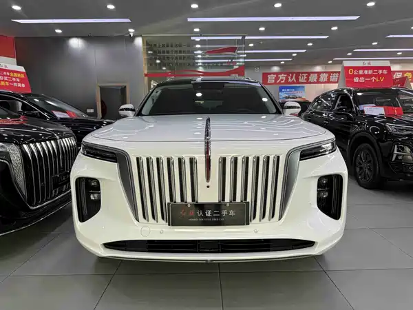 Hongqi E-HS9 2021, фото 2
