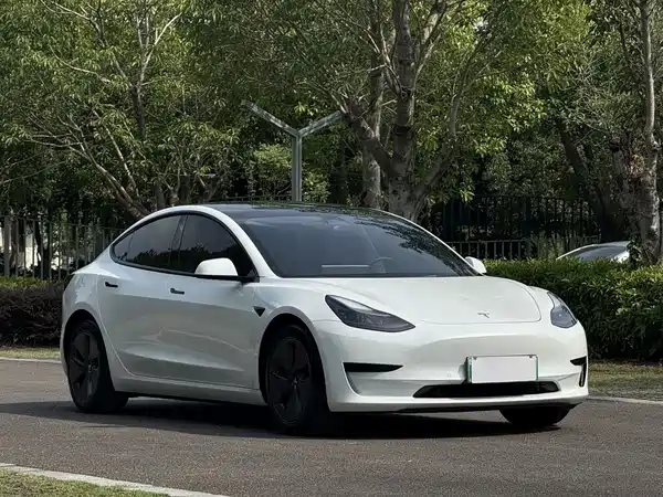 Tesla Model 3 2022, фото 3