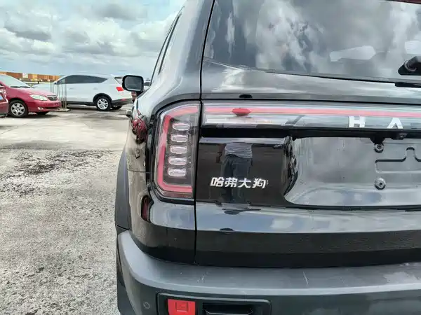 Haval Dargo 2024, фото 30