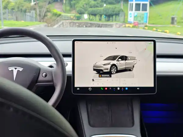 Tesla Model Y 2023, фото 15