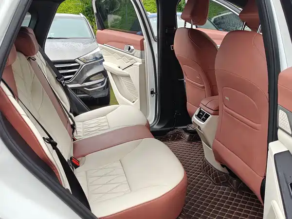 Haval Shenshou 2022, фото 9