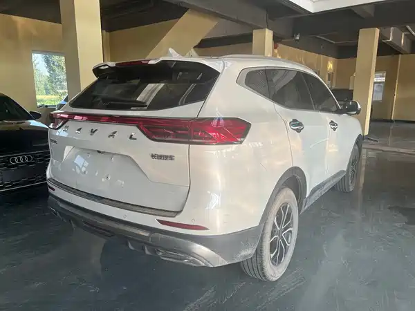 Haval H6 2023, фото 7