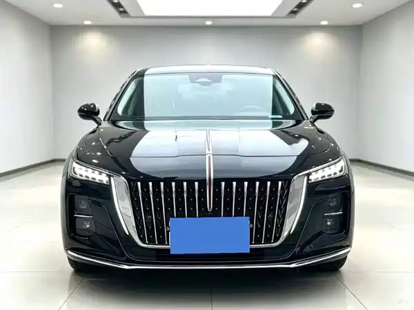 Hongqi H5 2023, фото 2