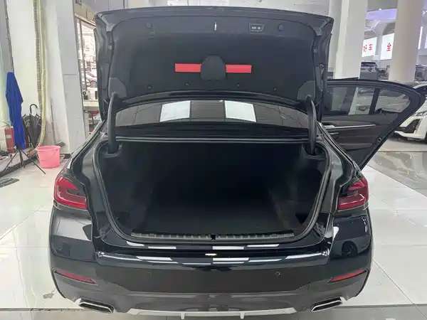 BMW 5 Series 2022, фото 15