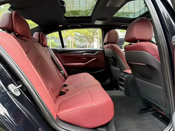 BMW 5 Series PHEV 2022, фото 13