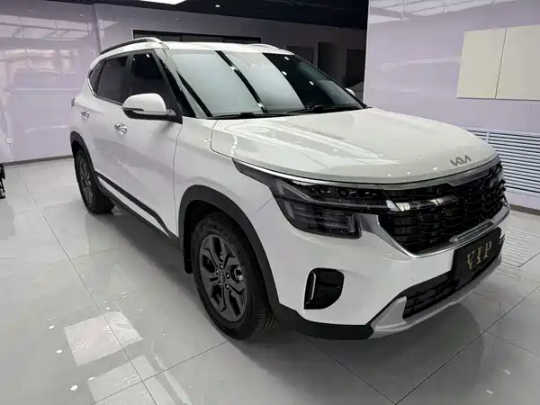 Kia Seltos 2023, фото 5