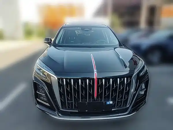 Hongqi HS3 2023, фото 4