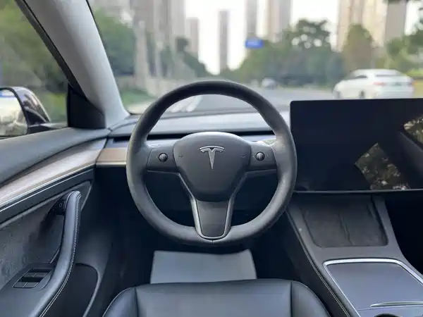 Tesla Model 3 2022, фото 13