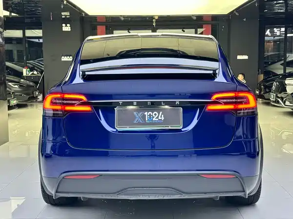 Tesla Model X 2023, фото 5