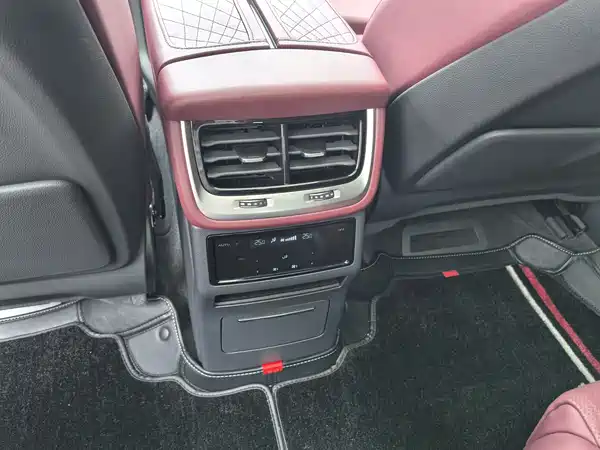 Hongqi E-HS9 2021, фото 22