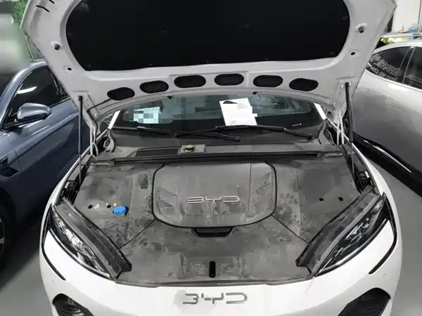 BYD Seal 2022, фото 20