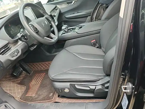 Hongqi E-QM5 2023, фото 14