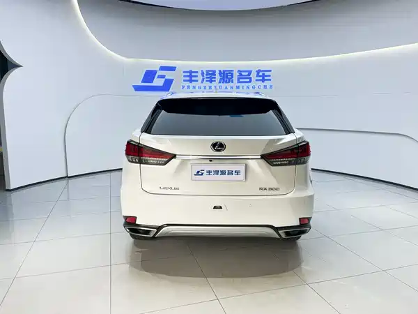 Lexus RX 2020, фото 5
