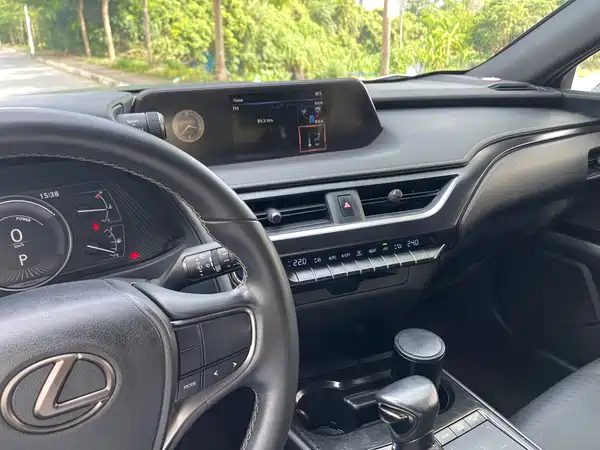 Lexus UX 2022, фото 24