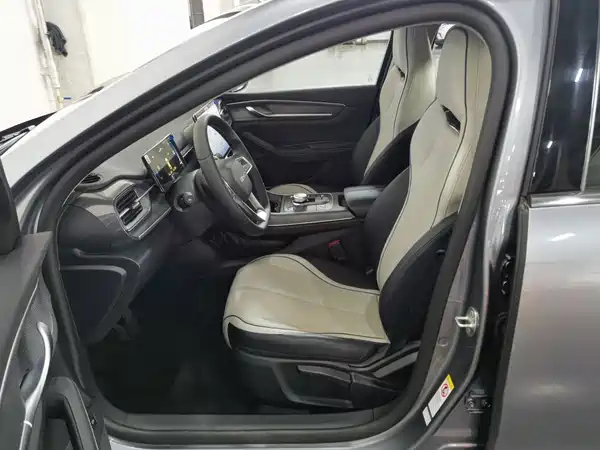 BYD Destroyer 05 2024, фото 10
