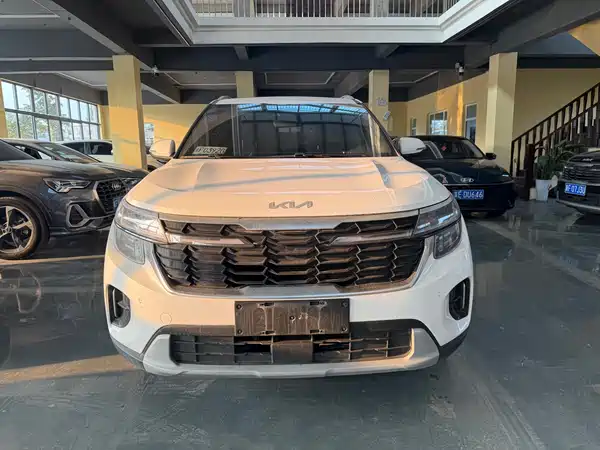 Kia Seltos 2023, фото 2