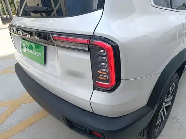 Haval Dargo 2021, фото 7