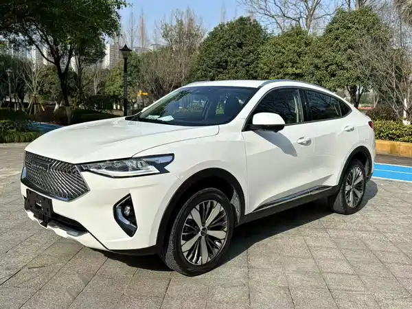 Haval F7x 2021, фото 3