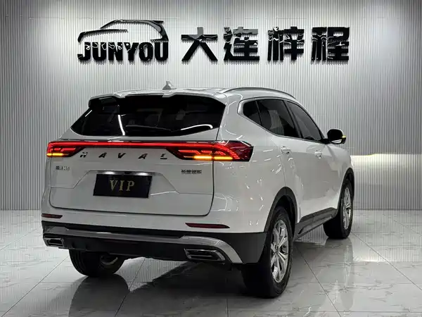 Haval H6 2021, фото 4