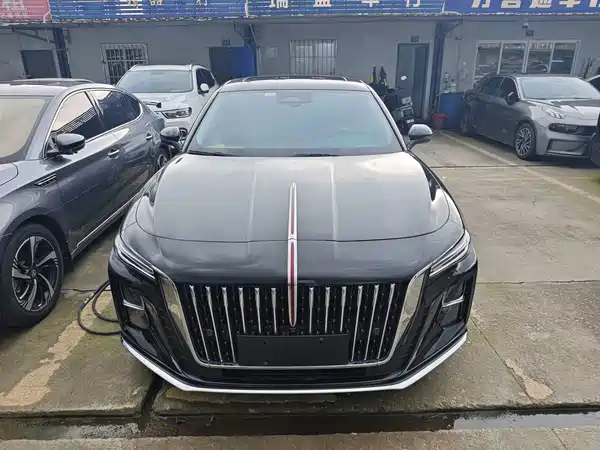Hongqi H5 2023, фото 2