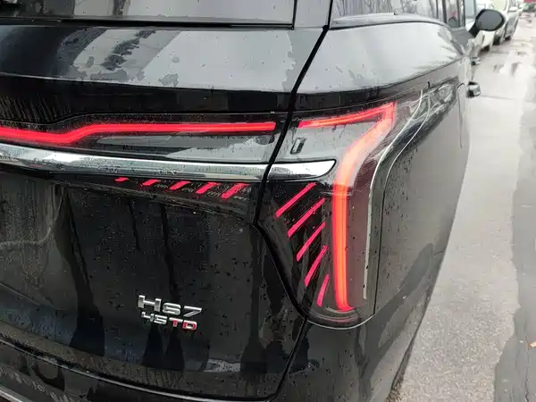 Hongqi HS7 2024, фото 24