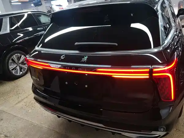 Hongqi E-HS9 2022, фото 6