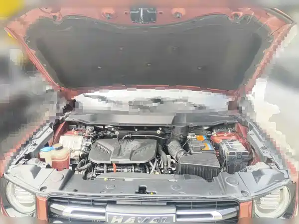 Haval Dargo 2021, фото 3