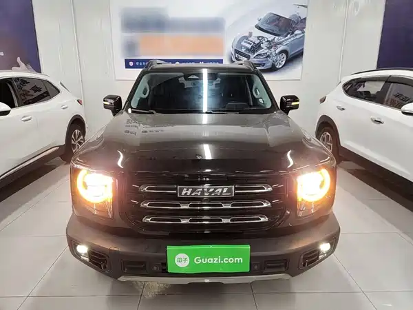 Haval Dargo 2021, фото 2