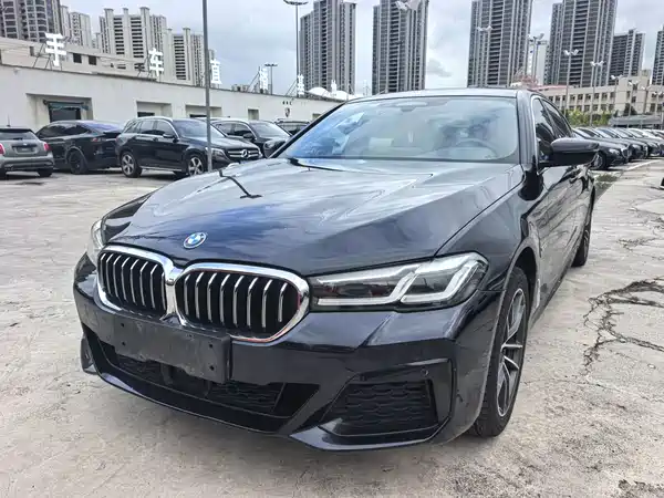 BMW 5 Series PHEV 2022