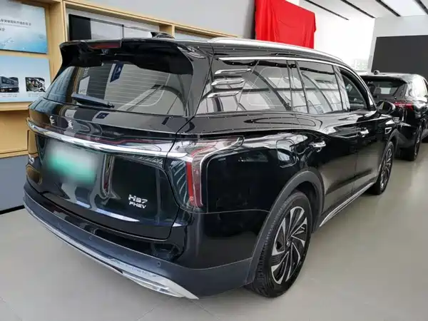 Hongqi HS7 PHEV 2024, фото 7