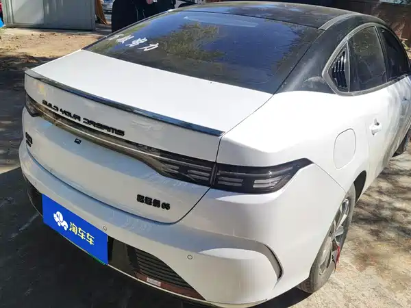 BYD Destroyer 05 2024, фото 3
