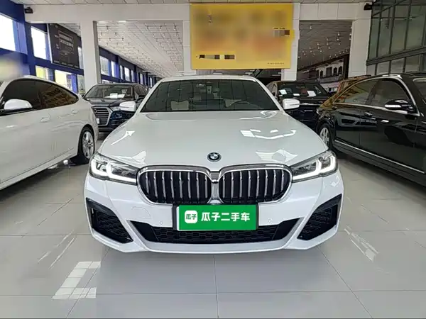 BMW 5 Series PHEV 2022, фото 3