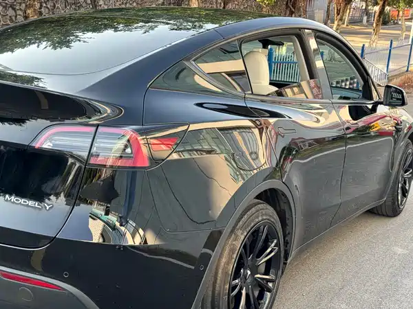 Tesla Model Y 2022, фото 12