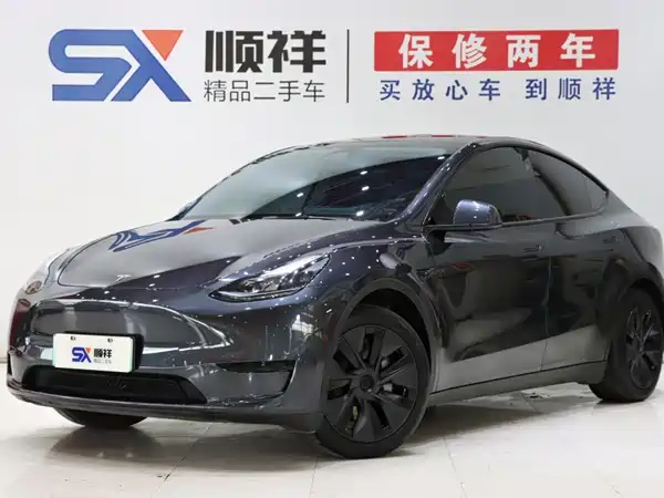 Tesla Model Y 2024