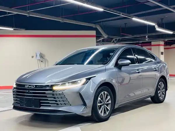 BYD Destroyer 05 2024