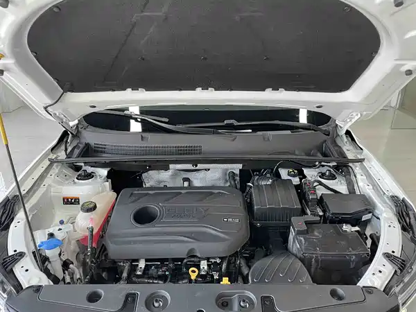 Geely Emgrand X6 2021, фото 14