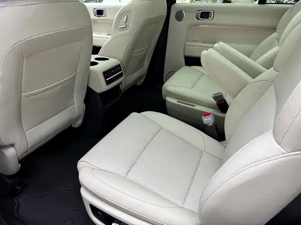 Li Auto L8 2023, фото 7