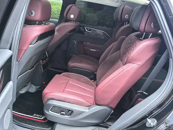 Hongqi E-HS9 2021, фото 24