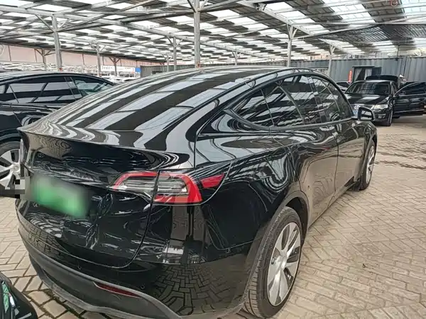 Tesla Model Y 2021, фото 6
