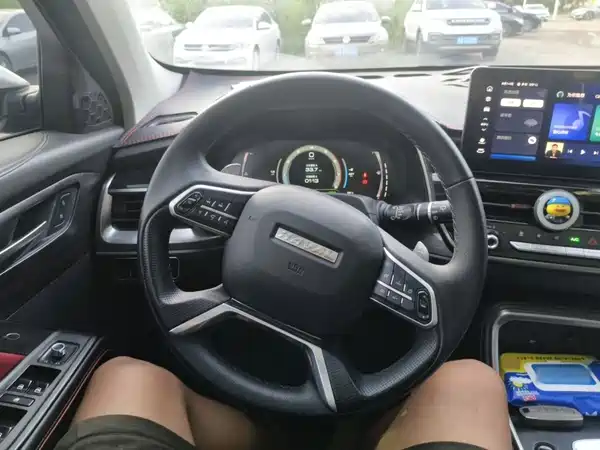 Haval H6 2021, фото 2