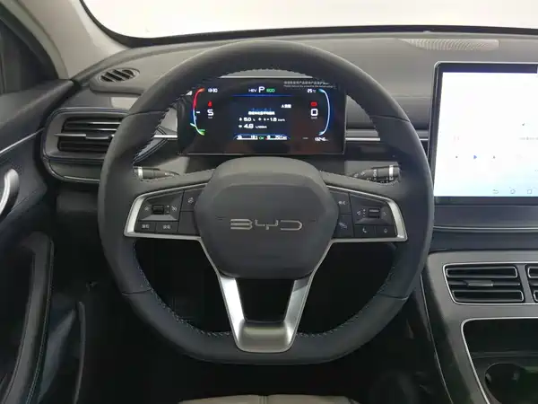 BYD Destroyer 05 2024, фото 11