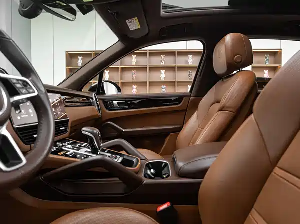 Porsche Cayenne 2022, фото 12