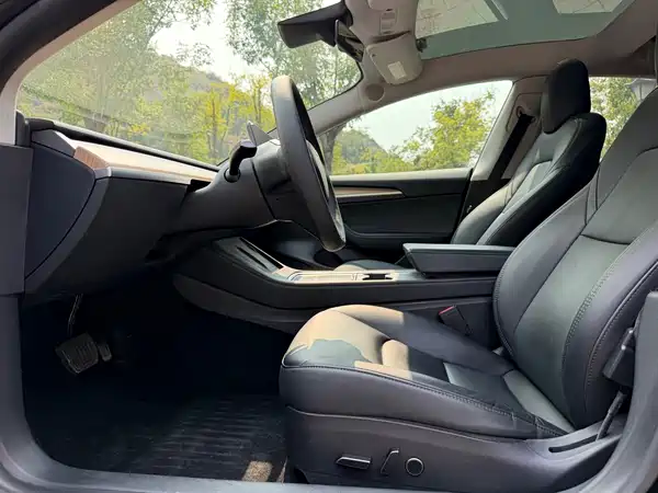 Tesla Model 3 2022, фото 7